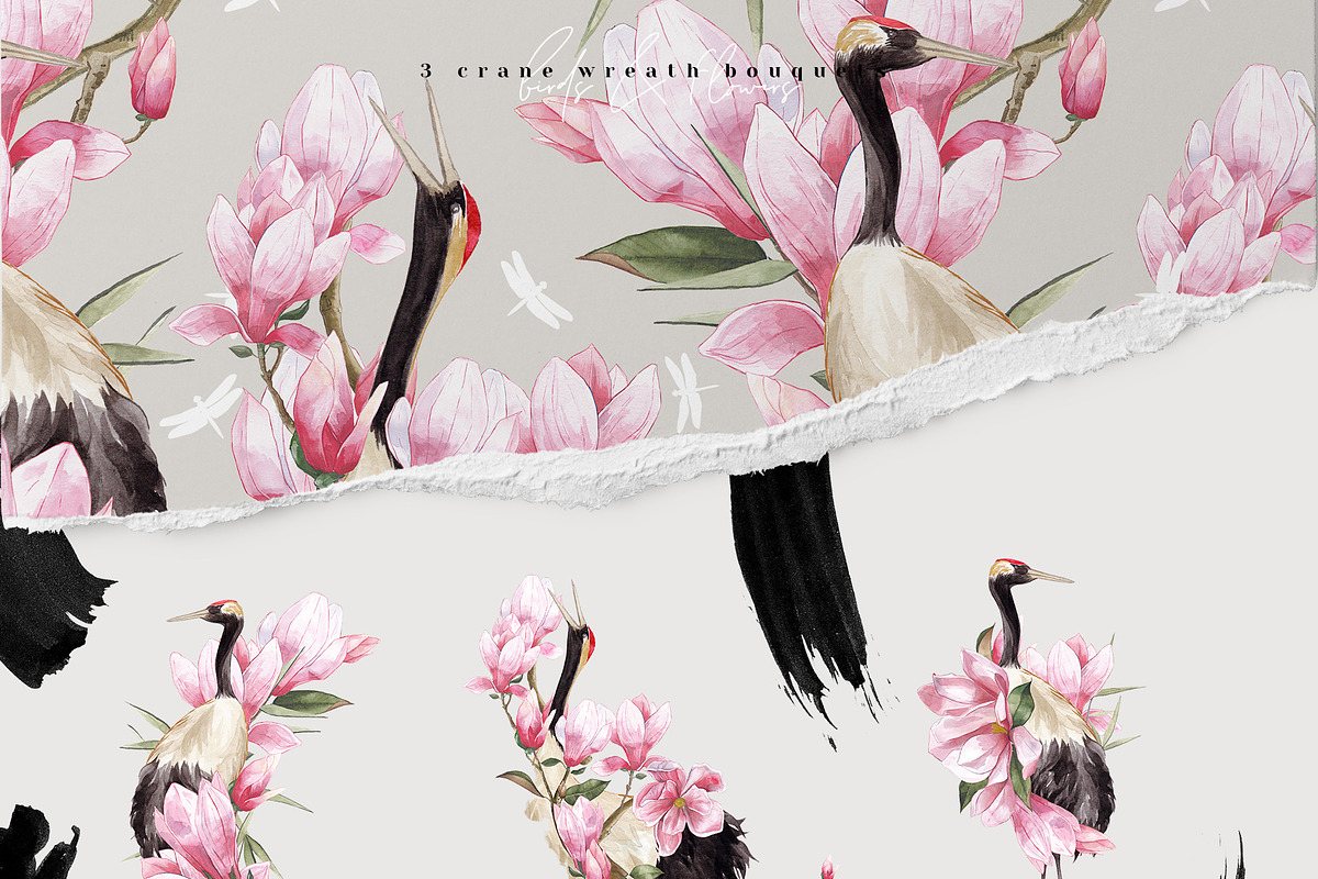 Magnolia & Cranes | Tropical Japan, an Illustration by January Bloom (Photo 5 of 17)