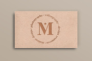 Francois Modern Serif Font, a Serif Font by Fancy Malone (Thumbnail 8 of 12)