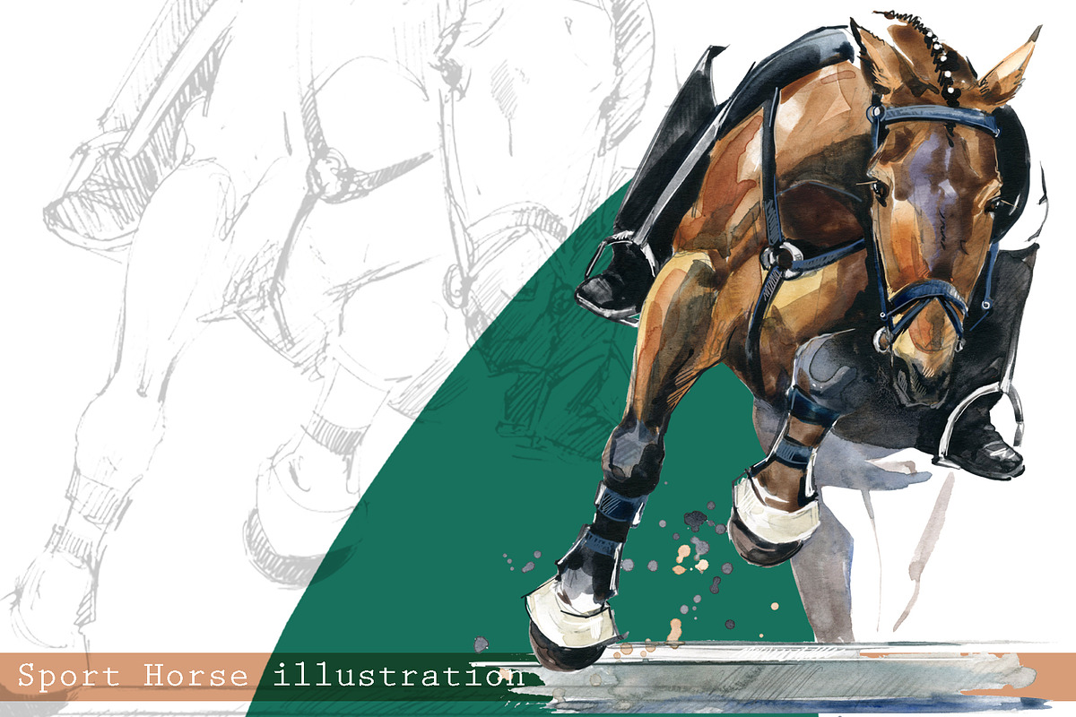 Sport Horses watercolor set, an Object Graphic by FineArt (Photo 3 of 18)