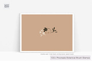 100+ Botanical Procreate Brush Stamp, a Brush Add-On by CC CREATIVE CO (Thumbnail 9 of 16)