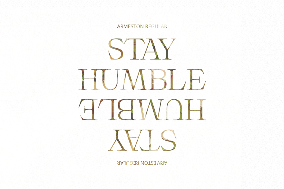 Armeston - Modern Serif, a Serif Font by tebaltipislab (Photo 11 of 15)