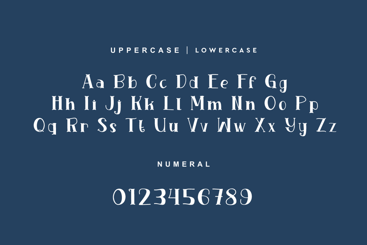 Christmas Hollynight Font, a Serif Font by QR Design Studio (Photo 9 of 11)