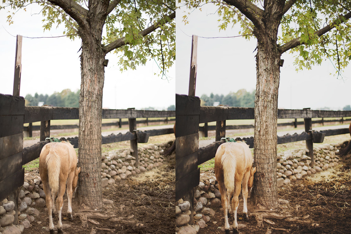 PHOTOSHOP actions set Greenhouse, an Action Add-On by Les Hirondelles Ph (Photo 4 of 10)