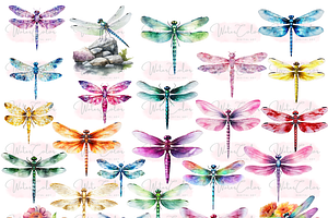 The Dragon Fly Collection Clipart