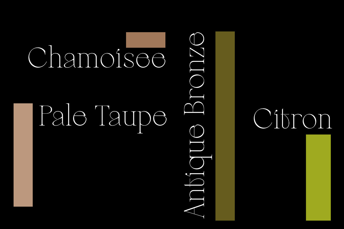 Berneray Serif Font Family, a Serif Font by Ryul Davidson (Photo 17 of 19)