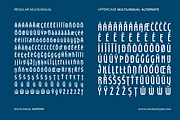 UT Unisportion FC Font Duo, a Sans Serif Font by Universitype (Thumbnail 11 of 13)