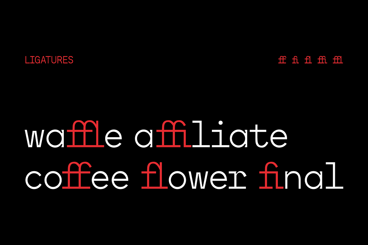 SK Ilke Mono, a Sans Serif Font by Salih Kizilkaya (Photo 7 of 15)