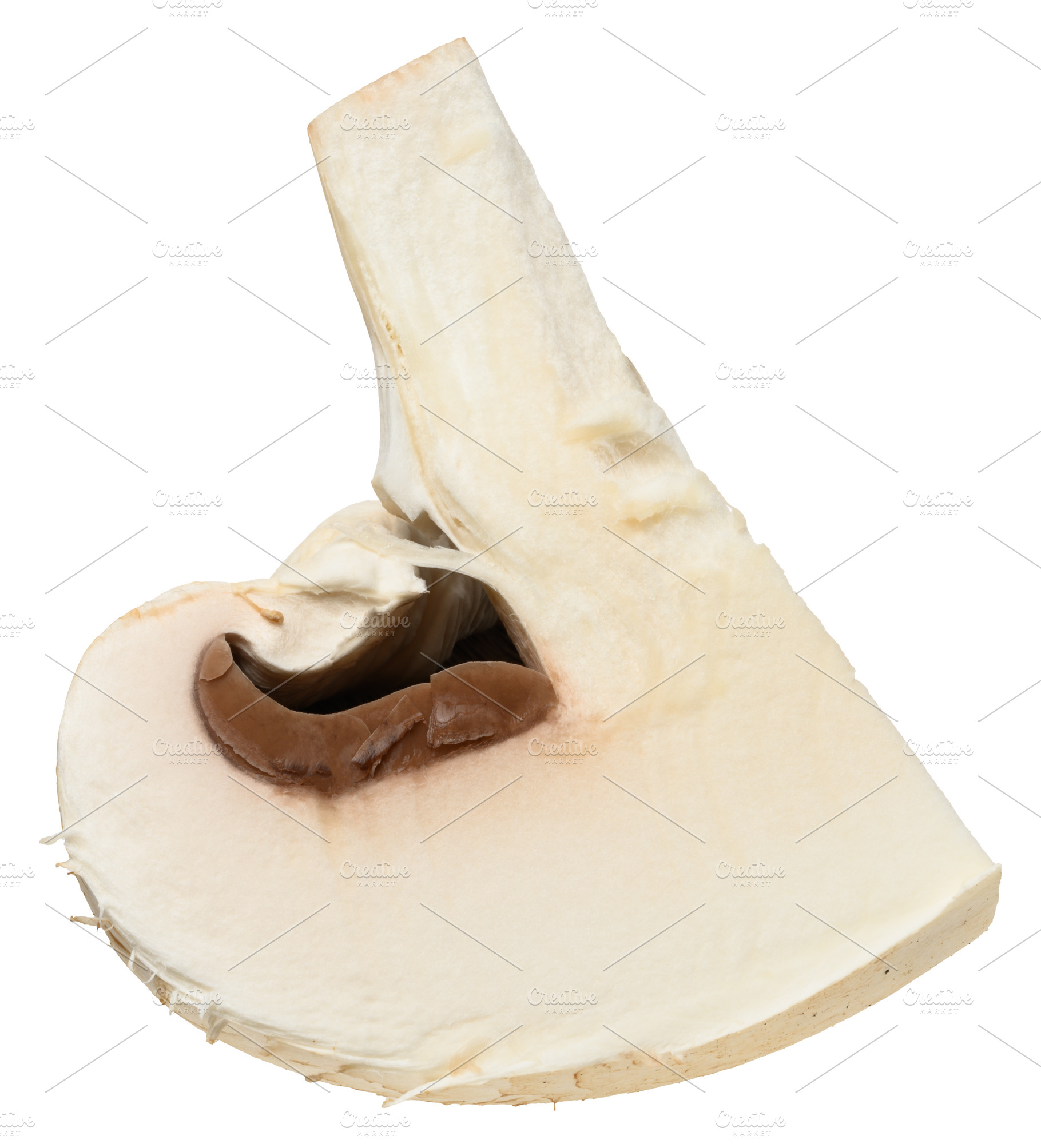 Cut in half fresh champignon mushroom with white cap and light b, a Food & Drink Photo by ndanko