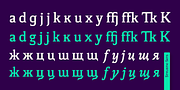 Thalweg, a Serif Font by Ani Dimitrova (Thumbnail 12 of 15)