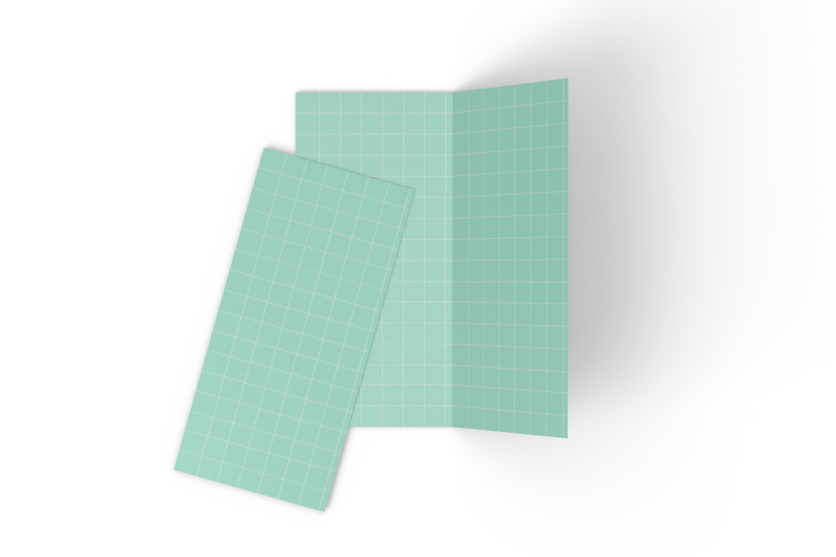 Bifold DL Flyer Mockup
