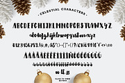 Celestial Script + Extras, a Script Font by Flycatcher Design (Thumbnail 3 of 6)