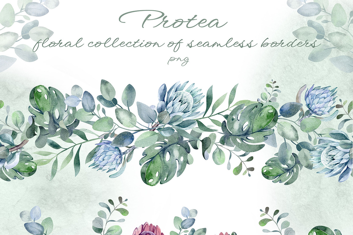 PROTEA watercolor flowers clipart, an Illustration by LenArt (Photo 7 of 16)