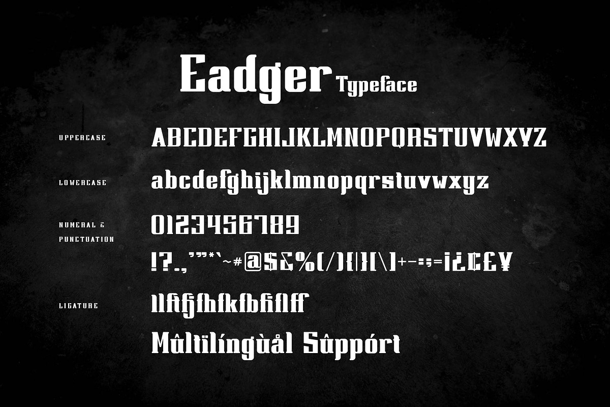 Eadger - Modern Serif Style, a Serif Font by Aqeel_Art (Photo 6 of 7)