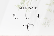 Bestina | Script Font, a Handwritten Font by Scratchones (Thumbnail 8 of 9)