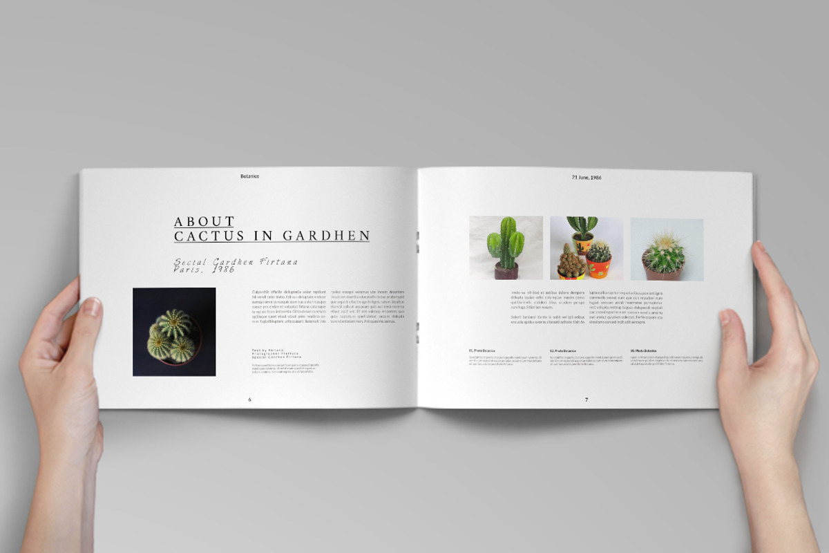 Botanice Portfolio, a Brochure Template by Firtana (Photo 4 of 12)