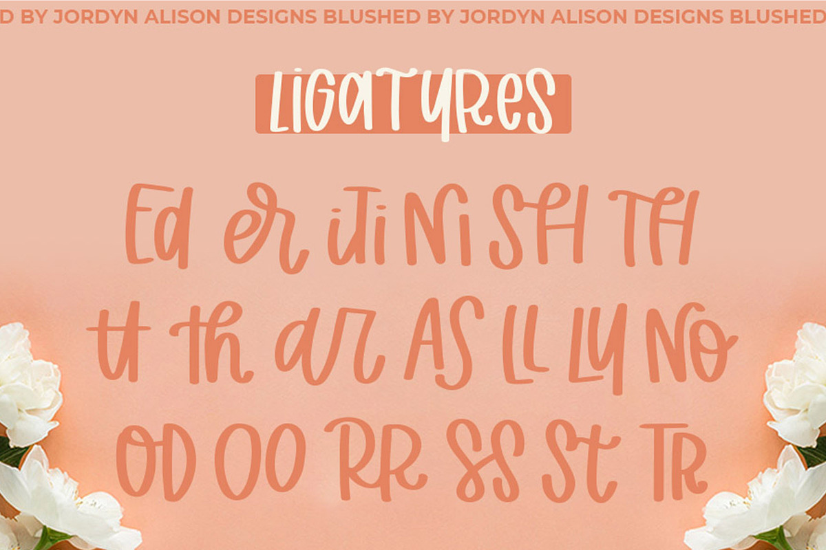 Blushed, Thick Marker Font, a Handwritten Font by Jordyn Alison Designs (Photo 4 of 8)