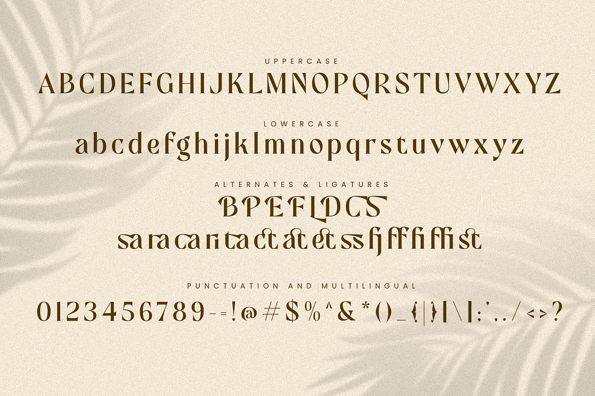 Mofista-Nostalgic Serif Typeface, a Serif Font by ToniStudio (Photo 10 of 11)