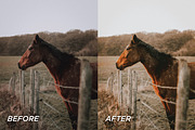 15 Pumpkin Lightroom Presets, a Preset Add-On by TheWayfarerShoppe (Thumbnail 5 of 8)