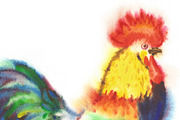 Watercolor Roosters, a Decorative Illustration by Nataliapiache (Thumbnail 3 of 6)