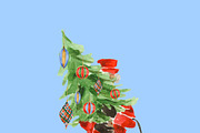 A Royal Holiday Watercolor Clipart, a Decorative Illustration by RhianAwni (Thumbnail 4 of 10)