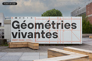 TT Hoves Pro Basic, a Font by TypeType (Thumbnail 9 of 15)