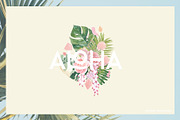 Tropical Romance modern floral rose, an Illustration by January Bloom (Thumbnail 8 of 29)