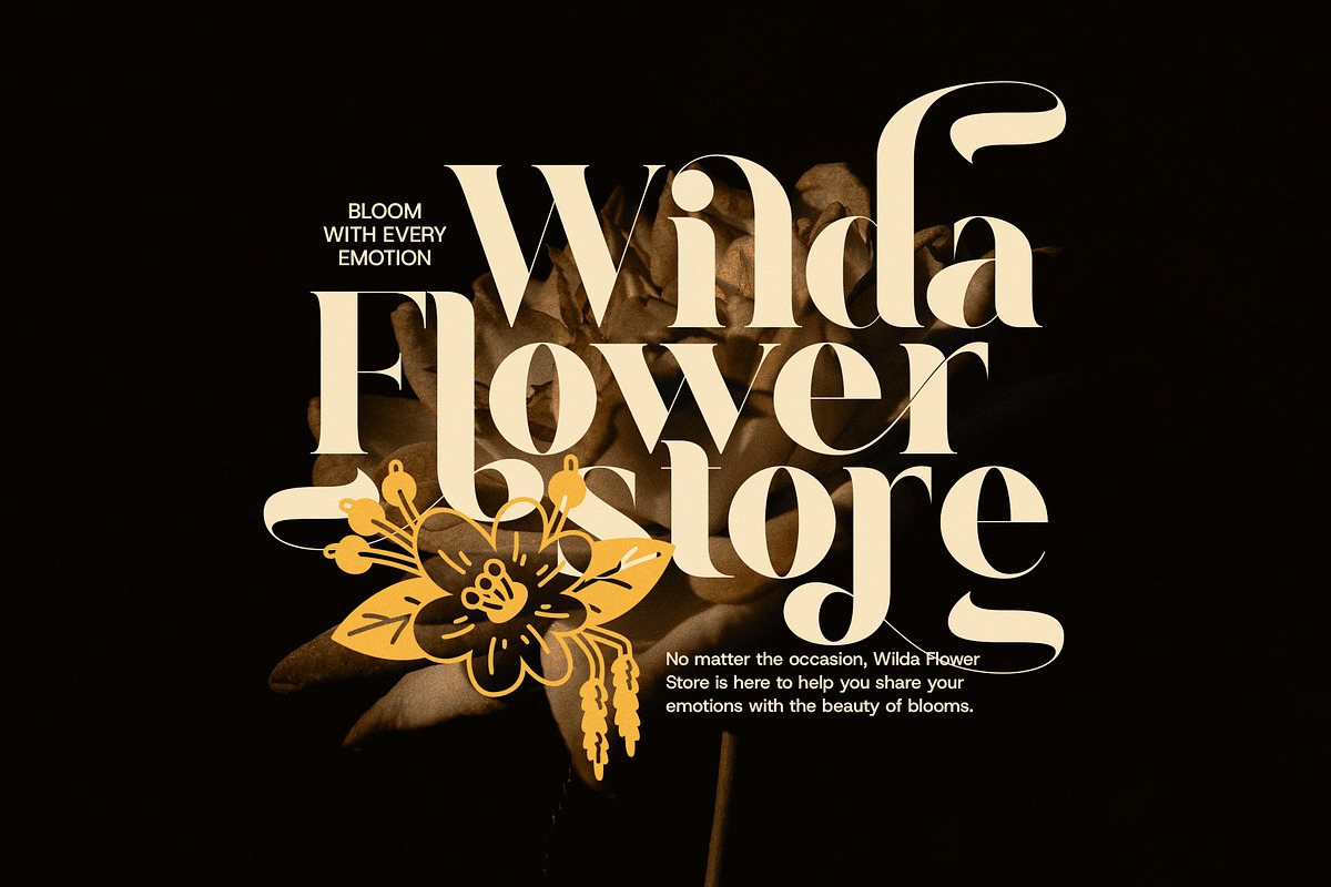 Anika Elegant Display Serif Font, a Serif Font by Graphicxell (Photo 5 of 8)