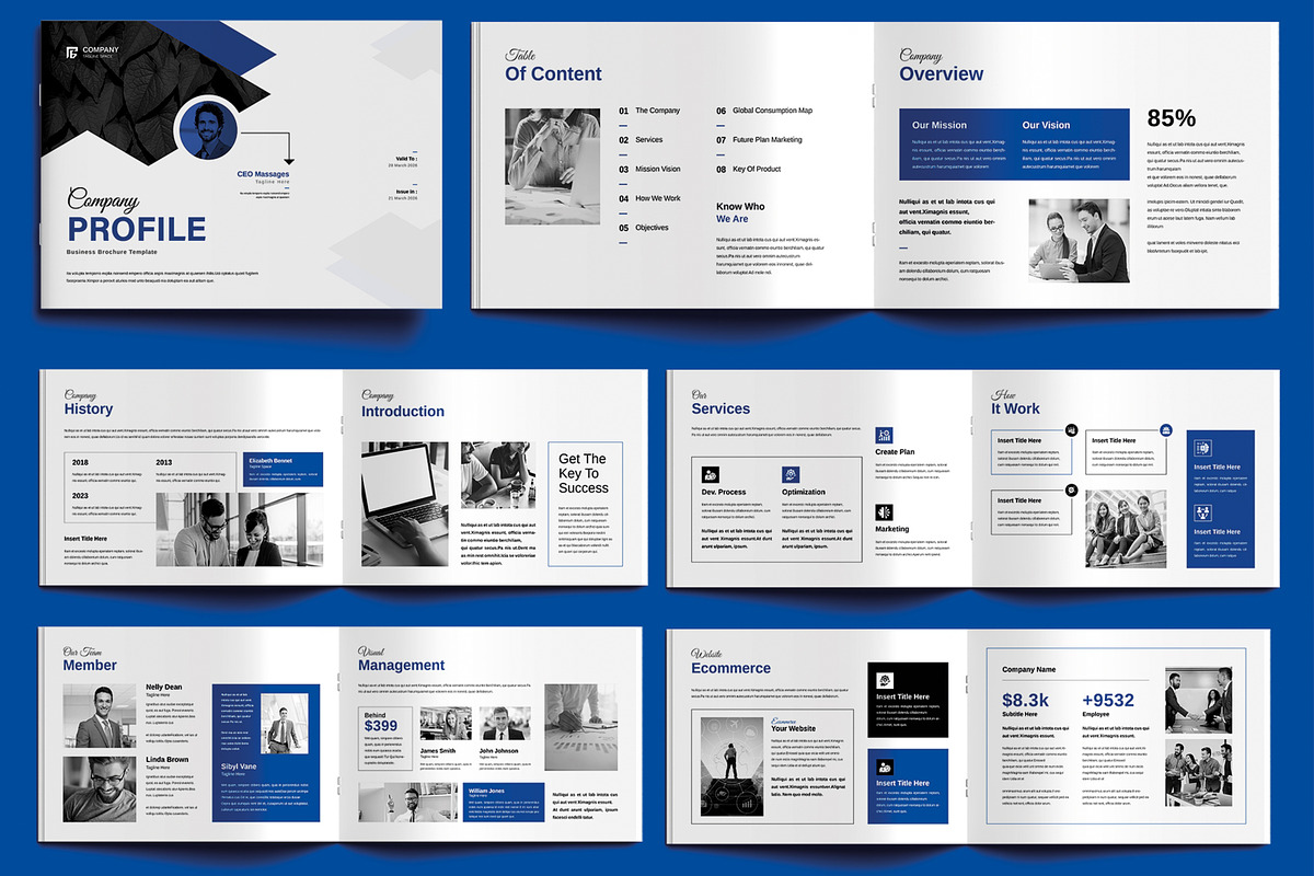 Company Profile Template Layout preview 2