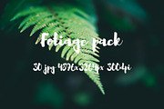 Foliage pack, a Templates & Theme by ApertureVintage (Thumbnail 3 of 21)