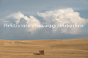 Leky Calgria Elegant Serif, a Serif Font by Hishand Studio (Thumbnail 11 of 12)