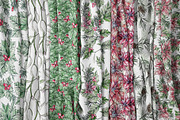 Watercolor christmas illustrations, a Decorative Illustration by Tanya Vollar (Thumbnail 4 of 12)
