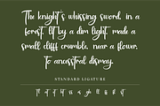 Golden Glamoura - Beauty Handwritten, a Handwritten Font by Indotype Foundry (Thumbnail 6 of 10)