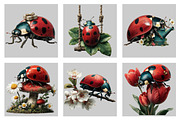 Whimsical Ladybug Spring Clipart, an Illustration by Black Bird Studio (Thumbnail 3 of 5)