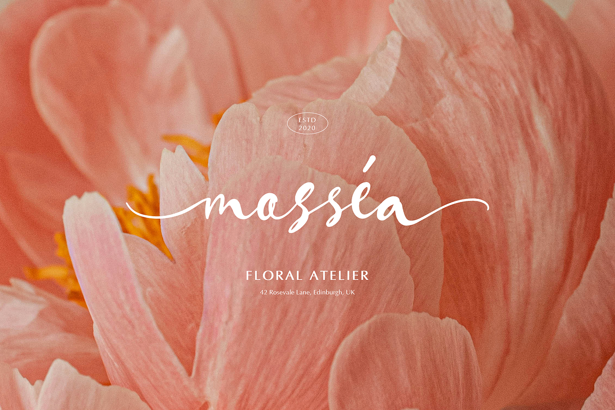 Vangella Sealed | Handwritten Script, a Script Font by gracetype_studio (Photo 4 of 12)