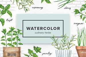Watercolor Culinary Herbs