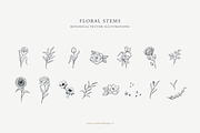 Floral Stems: Botanical Illustration, an Illustration by Sarah Ann Design (Thumbnail 1 of 7)