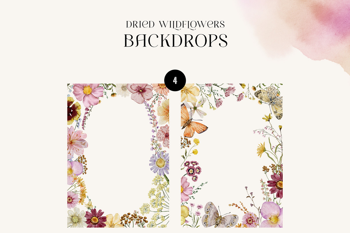 Dried Wildflowers - watercolor flora, an Illustration by SunnyAfternoons (Photo 12 of 15)