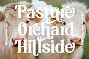 Hasbor Modern Alternate Serif Font, a Serif Font by AmorfaType (Thumbnail 2 of 11)