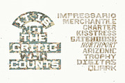 Trophy | Bold Athletic, a Sans Serif Font by Artifact Bazaar (Thumbnail 8 of 8)