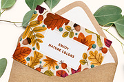 Autumn leaves. Fall set, backgrounds, a Seasonal Illustration by Good Studio (Thumbnail 13 of 13)
