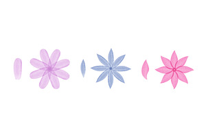 Artistic watercolor petals and, an Illustration by okskukuruza
