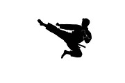 Dynamic martial arts kick silhouette, an Illustration by Amazin_art (Thumbnail 25 of 36)