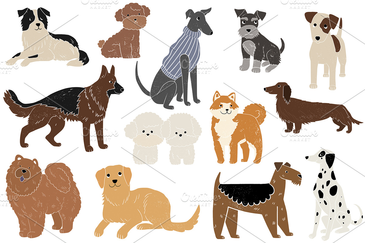 Friends: 23 different dog breeds, an Animal Illustration by Mii Lab (Photo 5 of 13)