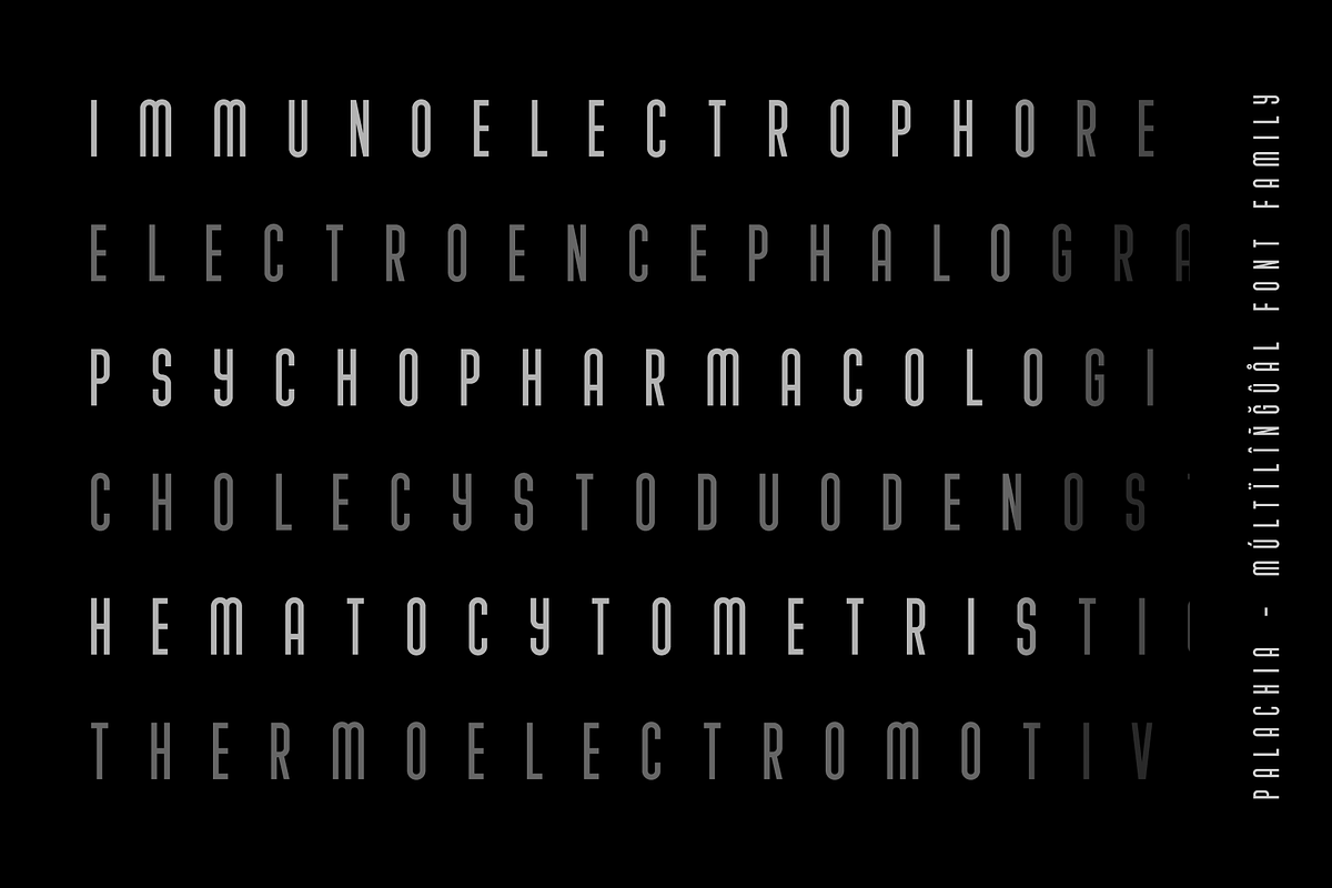 Palachia Cyrillic Font Family, a Sans Serif Font by alpercakici (Photo 6 of 11)