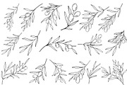 Olive Branch Line Art Clipart SVGs, a Decorative Illustration by Stellalunarts (Thumbnail 2 of 12)