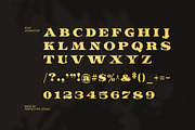 The Brown Zonky Elegant Serif Font, a Serif Font by Perfectype (Thumbnail 8 of 8)