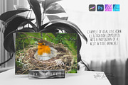 Realistic Robins Illustrations Set, an Illustration by White Lane Studio (Thumbnail 4 of 8)