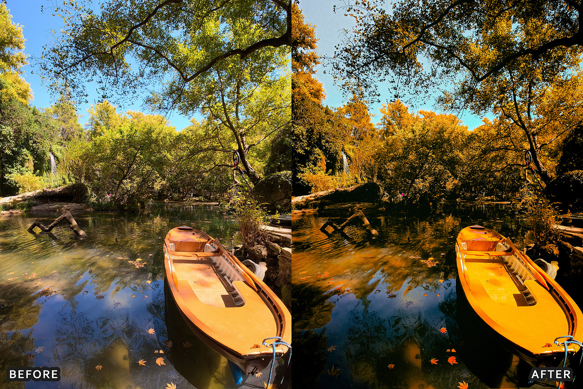 Misty Autumn Forest Presets, a Preset Add-On by AAA Presets (Photo 6 of 13)