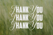 Morstein Vintage | Modern Font Duo, a Sans Serif Font by Typoraith Co (Thumbnail 10 of 10)