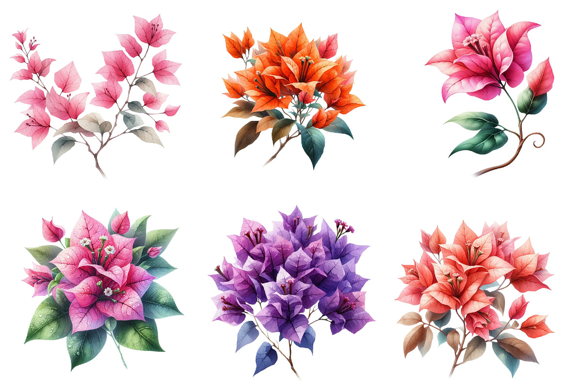 Bougainvillea Flower Clipart Bundle, an Illustration by Watercolor design (Photo 3 of 4)